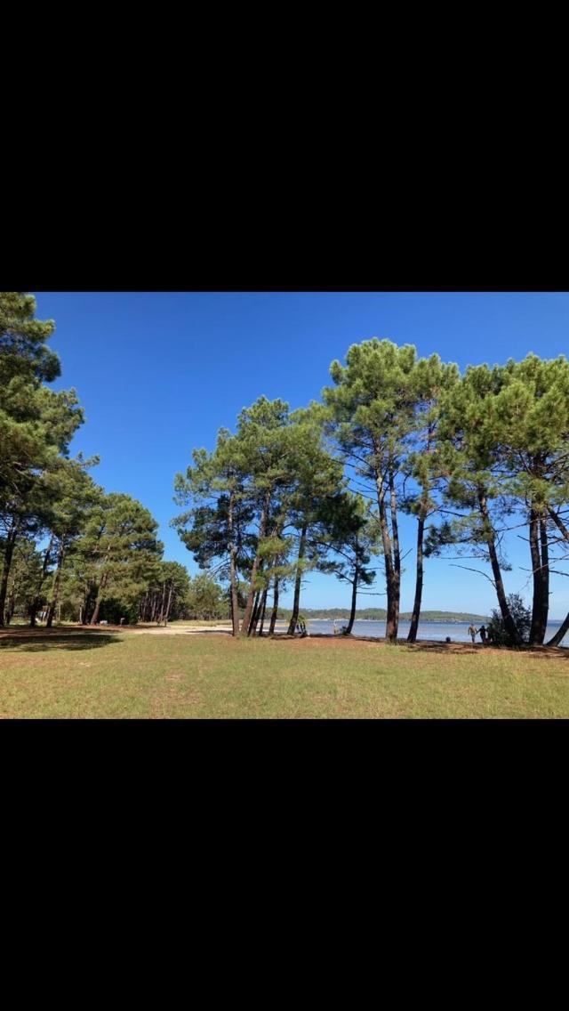 Villa Dune 比斯卡罗斯 外观 照片